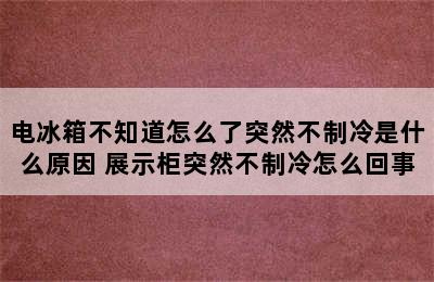 电冰箱不知道怎么了突然不制冷是什么原因 展示柜突然不制冷怎么回事